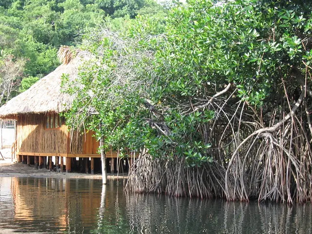 Manglar y palafito en las Lagunas de Chacahua, ecosistema costero de Oaxaca