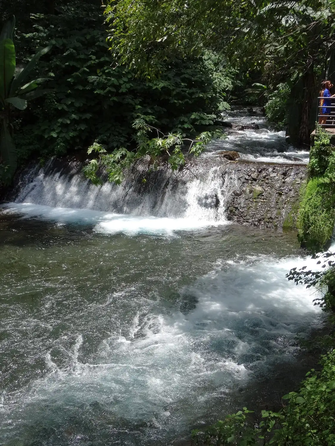 Río Cupatitzio entre vegetación de galería en Uruapan