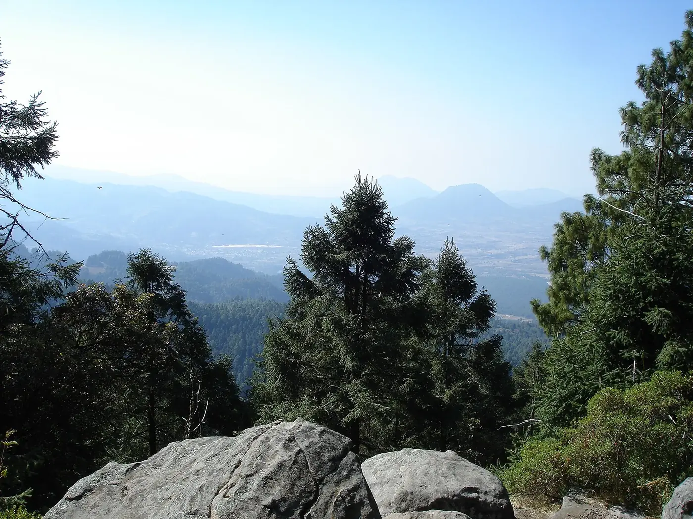 Bosque de coníferas y montañas en Sierra Chincua, Michoacán