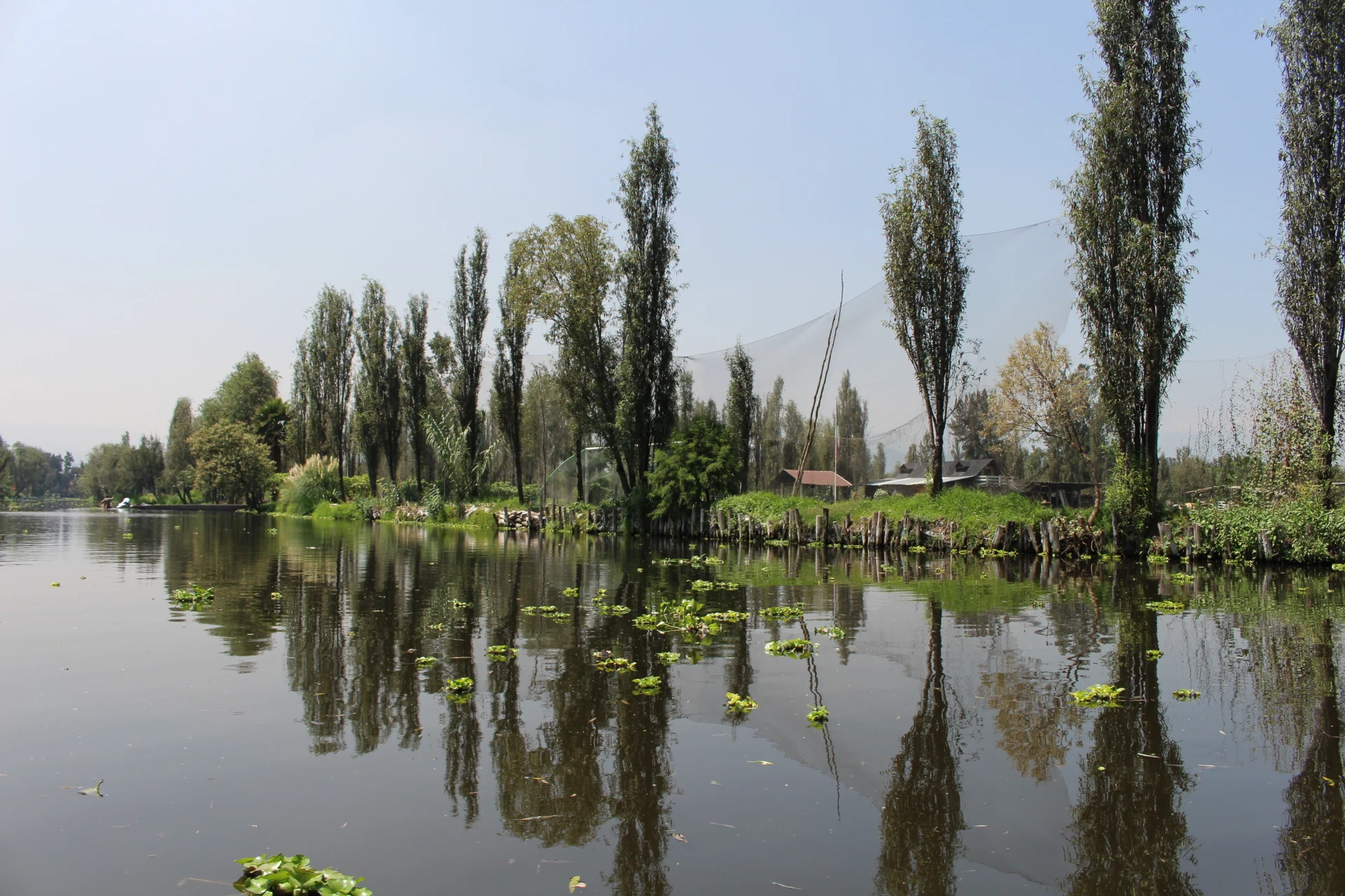 Canal de Xochimilco con chinampas y vegetación a los costados en la Ciudad de México