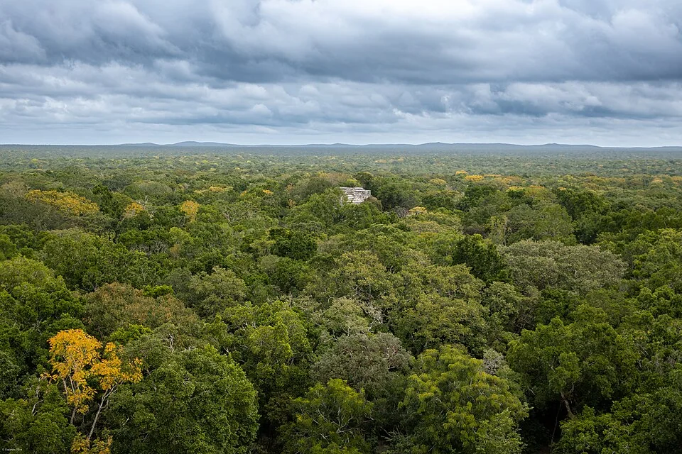 Vista de Calakmul, Campeche, México, y su entorno forestal