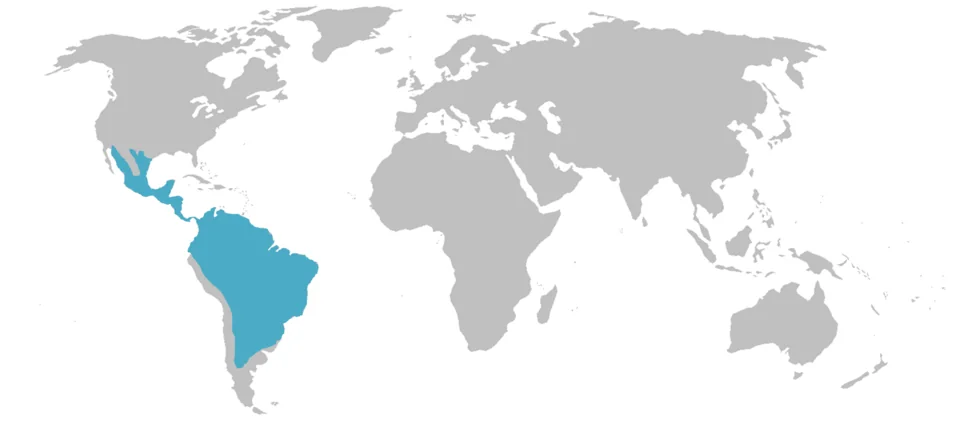 Mapa de referencia de distribución del jaguar