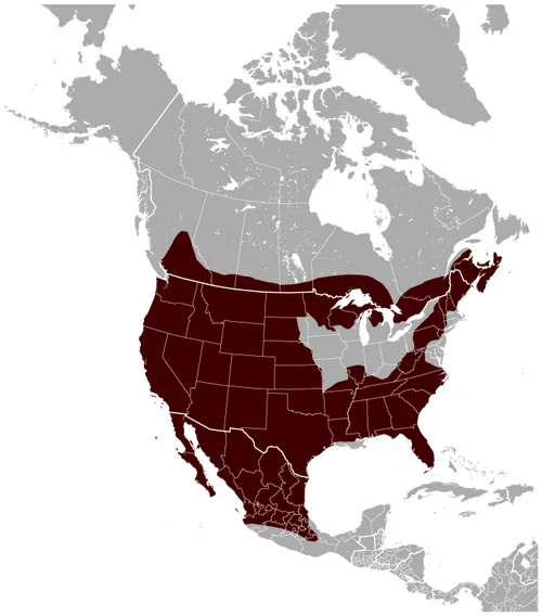Mapa continental de referencia del lince rojo, no un censo local actualizado